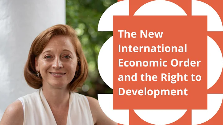 The New International Economic Order & the Right to Development - DayDayNews