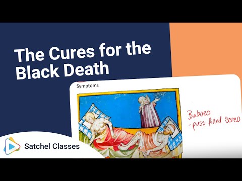 Video: Informace o čemeřicích Black Death – Jak zacházet s čemeřicemi pomocí černé smrti