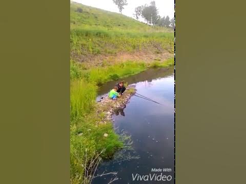 Утка бежит по воде :) - YouTube