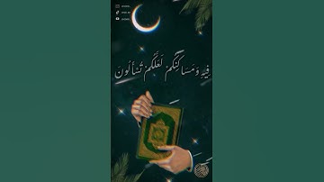 سورة الانبياء /لَقَد أنزَلنَا إِلَيْكُم كِتَابًا فِيه ذِكْرُكُم أَفَلا تَعقِلُون الشيخ ماهر المعيقلي