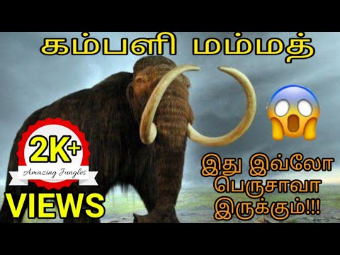 கம்பளி மம்மத் பற்றி உங்களுக்கு தெரியாத தகவல்கள் | All information about woolly mammoth in tamil