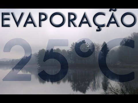 Vídeo: À temperatura ambiente, por que a água é líquida?