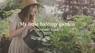 My little Balcony Garden: My first Year (2021) 🪴🍅🫐