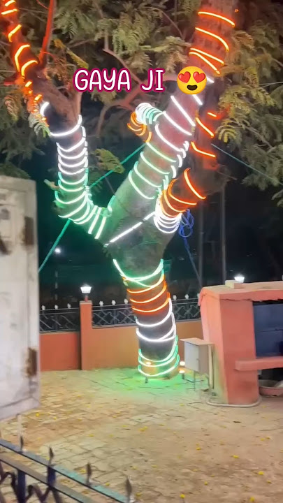 GAYA NIGHT VIEW #shorts