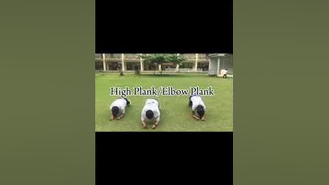 Bird Dog Series, Dead Bug Series, Plunking and Squats.