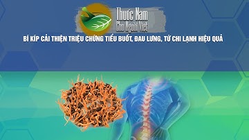 BÍ KÍP CẢI THIỆN TRIỆU CHỨNG TIỂU BUỐT, ĐAU LƯNG, TỨ CHI LẠNH HIỆU QUẢ | VTC16