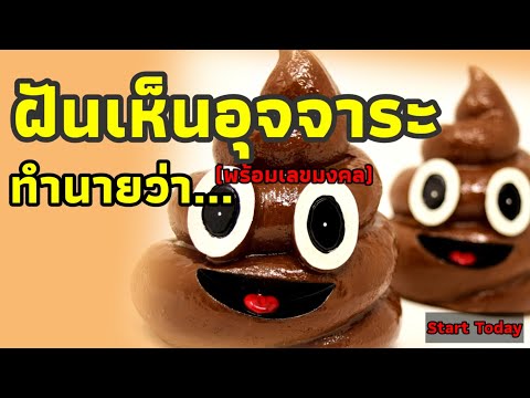 ฝันเห็นขี้ตนเอง ฝันเห็นขี้คนอื่น ฝันเห็นอุจจาระ อุจจาระเต็มคอห่าน ขี้เต็มชักโครก ขี้ในโถส้วมทำนายว่า