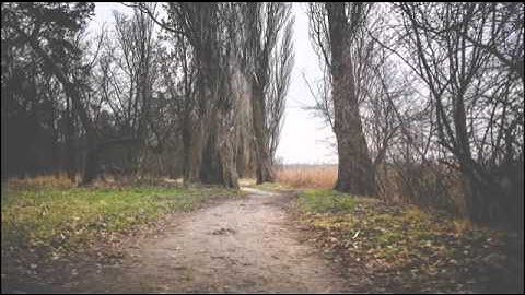 تلاوة خاشعة تريح القلوب