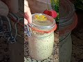 طريقة تحضير الخميرة البلدية