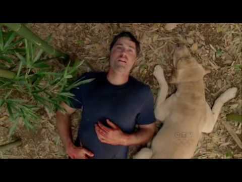 Lost Music and Connections - Last Scene