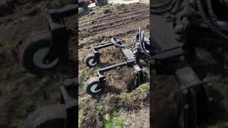 CMP Hydra Rake backyard redo