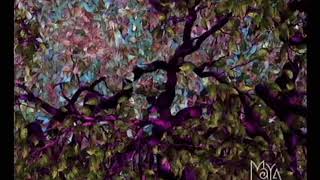Casiopea Pastel Sea (Cover)