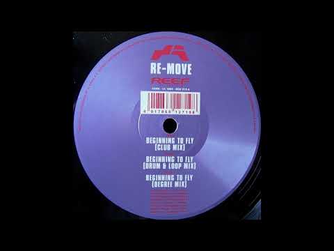 Re-Move — Re-Move - Beginning To Fly (Degree Mix)