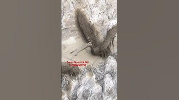 Tranh đắp Tùng hạc, tranh đắp nổi tại Hưng Yên 2024