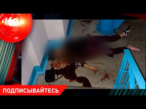 Девочка пыталась убить мать; муж изрезал жену; "горячая" шаурма; медведи и лоси/ Криминал 29.09.2023