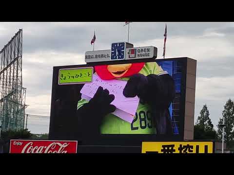 2023/7/15 つば九郎 今日のひとこと
