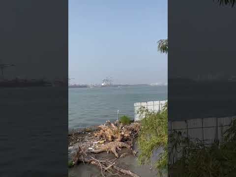 MUZIRIS BIENNALE PEPPER