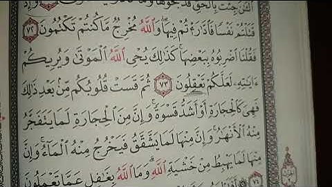 "سورة البقرة " الحزب الأول ترتيب الأرباع-انفرادات-متشابهات #فجاءة_خاطرة