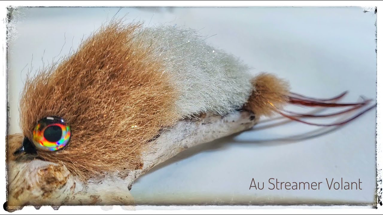 Streamer Game Changer en Ep fiber.