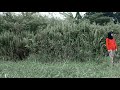 LEMON - KOBASOLO - VIDEO KLIP DI SAWAH