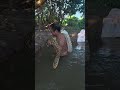 Bathing Turns Dangerous After Giant Python Appears 😨 #shorts