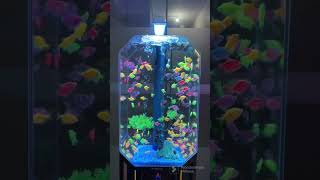 For Glow Fish Lovers
