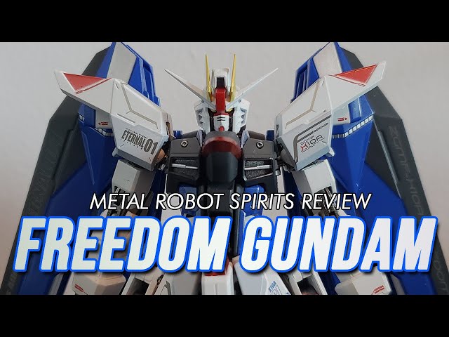 Metal Robot Spirits FREEDOM GUNDAM Review - Carl93 - YouTube