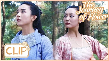 She stays alone, she doesn't want to bring bad luck to others😥The Journey of Flower | 花千骨 | Clip 03
