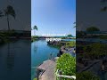 Hawaii Vibes #hawaii
