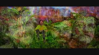Terrence Mckenna - Eros&Eschaton (11 of 16)