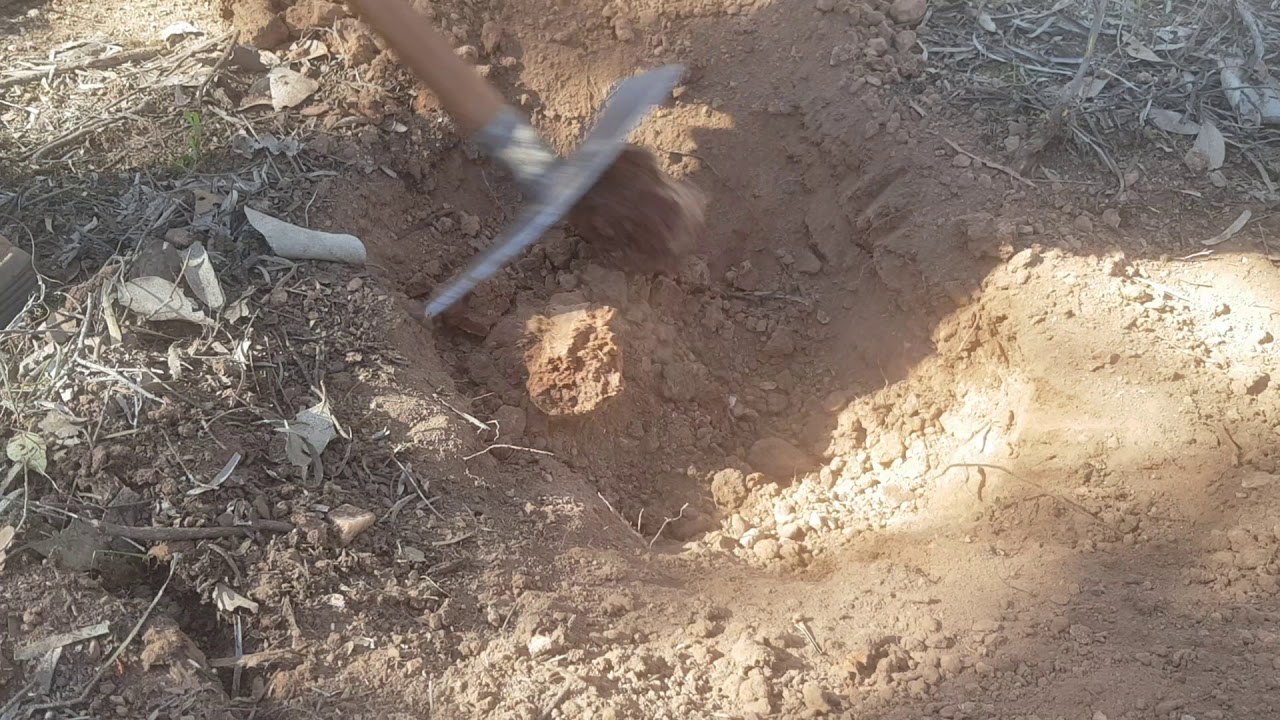 22-граммовый золотой самородок к югу от Веддерберна. GPZ 7000. Катушка 19 дюймов. Джейн — мой тал...