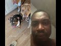 Dog on a break with Daddy #dog  #dogbreak #doglove #funny #animals
