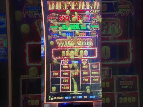Blackjack Clasico Rapido 3 | Los Hooligans - En Medio de una Isla (Royal Yak Casino Hipodromo, 16/06/2018)