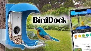 Birding 2.0  We Review the BirdDock Smart Bird Feeder with HD Camera