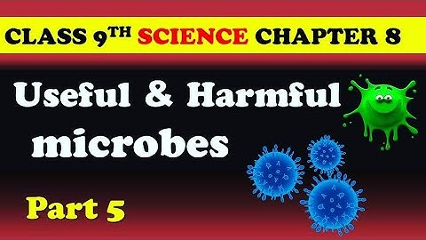 ch8) class 9th Useful & Harmfull microbes class 9th science  New syllabus MH board ||class 9th video