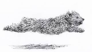 scribbling flying dog biro pen