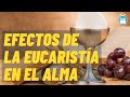 7 Poderosos efectos que produce la Eucaristía en el Alma