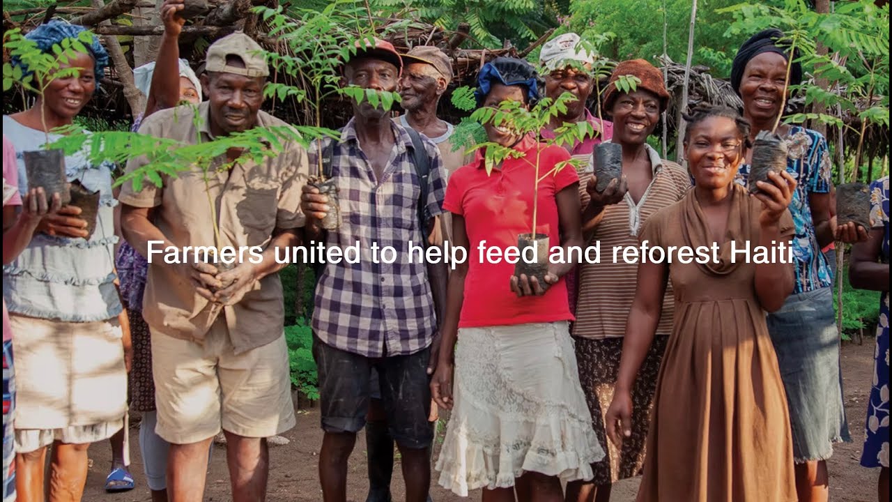 Hugh Locke: Whole Earth Farming