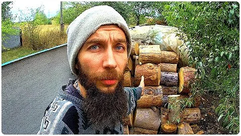 КАКИЕ ДРОВА НЕЛЬЗЯ ПОКУПАТЬ? НАТУРАЛИСТ ПОЯСНЯЕТ!
