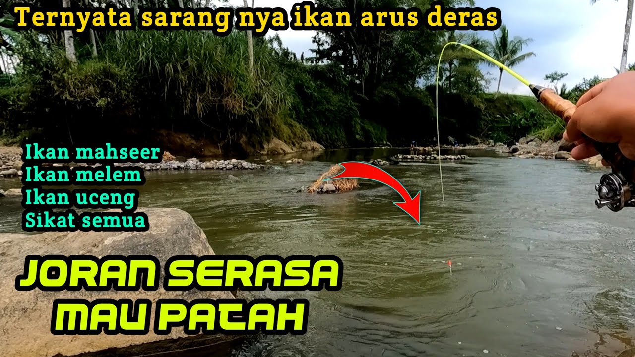 EDAN-EDAN.. JACKPOT IKAN MAHSEER, MELEM BABON. Tadinya gak yakin mancing di sini (micro fishing)