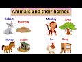 Animals and their homes | Animals home | Home of animals | Animal homes | Animal shelter for kids