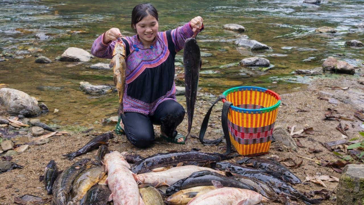 Highland girl uses her skills to catch large fish to sell at the market and prepare delicious dishes