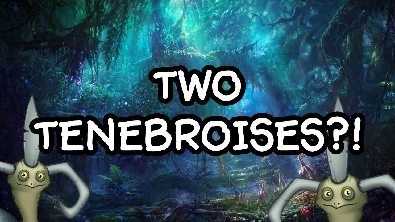 Anemonic Treetops Tenebroise duet