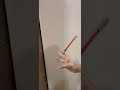 fs #penspinning #youtube #shorts