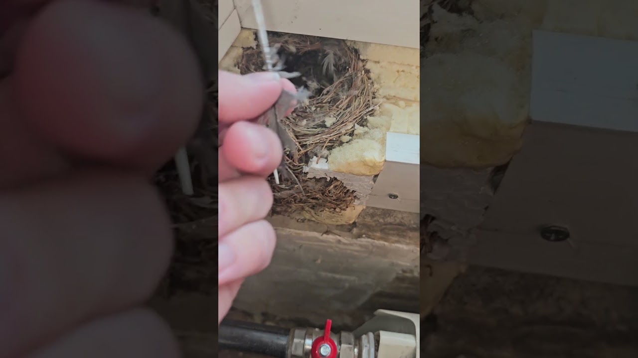 гнездо в подлокотнике 