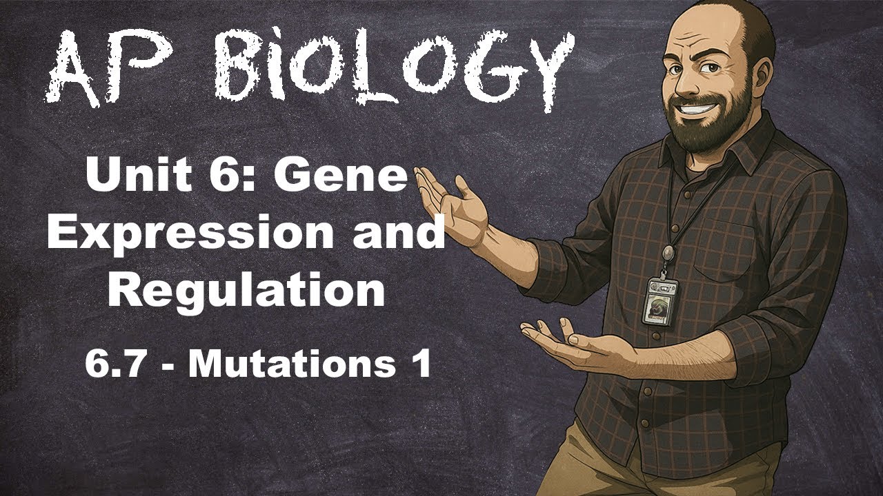 AP Bio, Раздел 6 – Тема 6.7 – Мутации (Часть 1)
