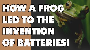 How a Frog Led to the Invention of Batteries!