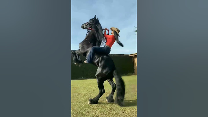 QUAL É A SUA NOTA PRA ESSE LINDO CAVALO PRETO COM A MOÇA EM CIMA DELE