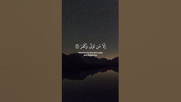 #تلاوات #القرآن_الكريم #تلاوة_خاشعة #عبدالرحمن_مسعد