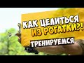 Учимся стрелять дротиками | Как целиться из рогатки?! | Стрельба из рогатки #19